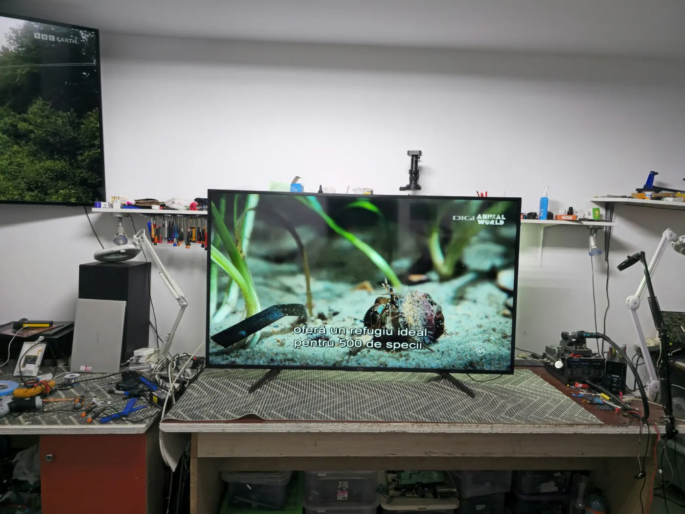 Televizor Sony Bravia în test după reparație, pe bancul de lucru din atelier